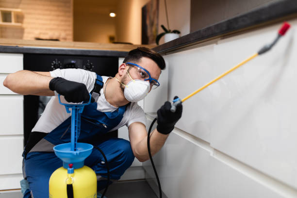 Best Pest Prevention Services  in Blasdell, NY