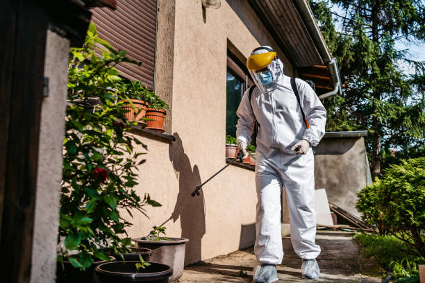 Best Commercial Pest Control Services  in Blasdell, NY