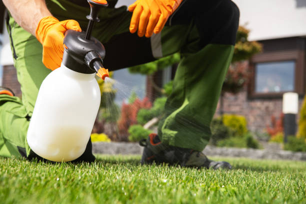 Best Pest Removal Services  in Blasdell, NY