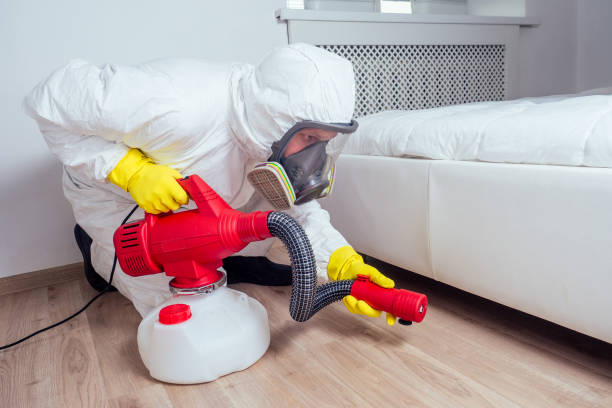 Reliable Blasdell, NY Pest Control Solutions