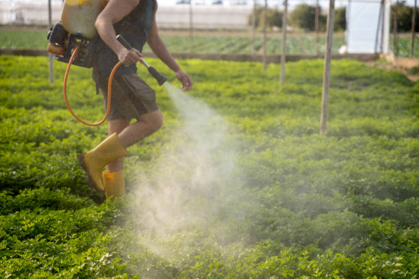 Pest Control Cost in Blasdell, NY