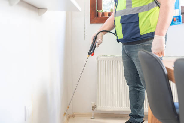 Best Ant Control Services  in Blasdell, NY