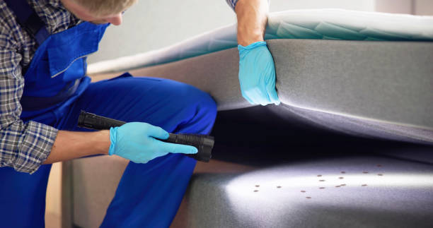 Best Flea Control Services  in Blasdell, NY