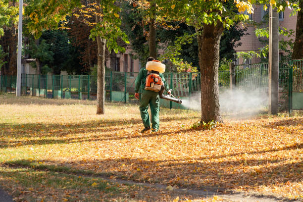 Best Emergency Pest Control  in Blasdell, NY