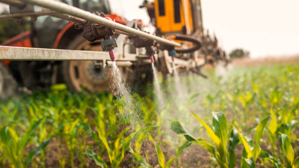 Best Best Pest Control Companies  in Blasdell, NY